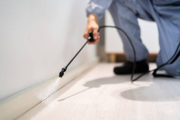 Licensed Emergency Pest Control service in New Orleans Station, LA - Nex Pest Control