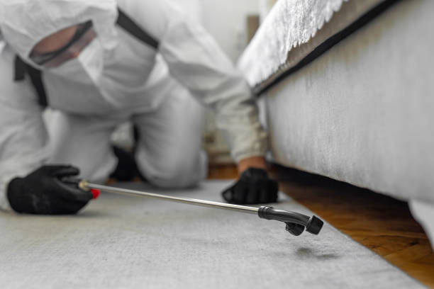 Professional Emergency Pest Control technician working in New Orleans Station, LA