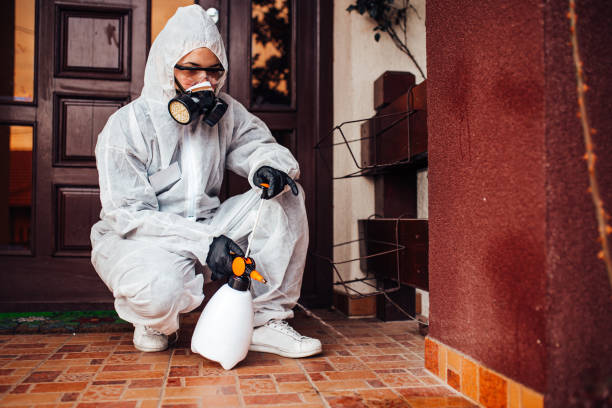 Reliable Emergency Pest Control contractor in New Orleans Station, LA by Nex Pest Control