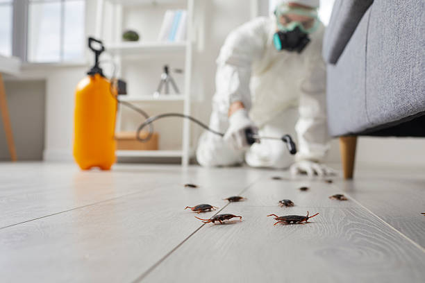 Trusted Termite Control service in New Orleans Station, LA - Nex Pest Control