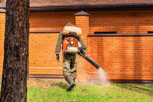 Trusted Emergency Pest Control service in New Orleans Station, LA - Nex Pest Control